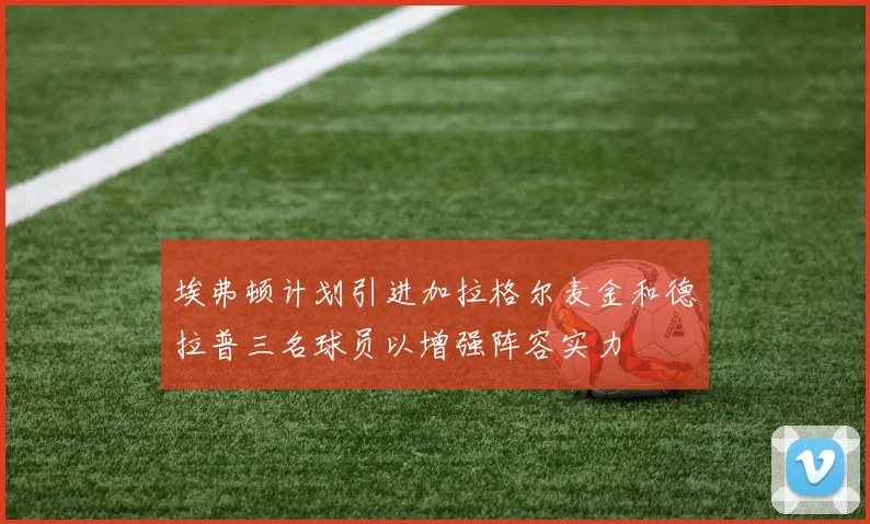 埃弗顿计划引进加拉格尔麦金和德拉普三名球员以增强阵容实力