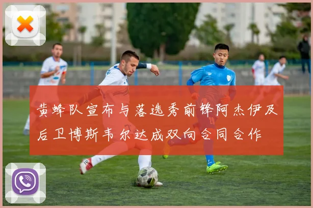 黄蜂队宣布与落选秀前锋阿杰伊及后卫博斯韦尔达成双向合同合作